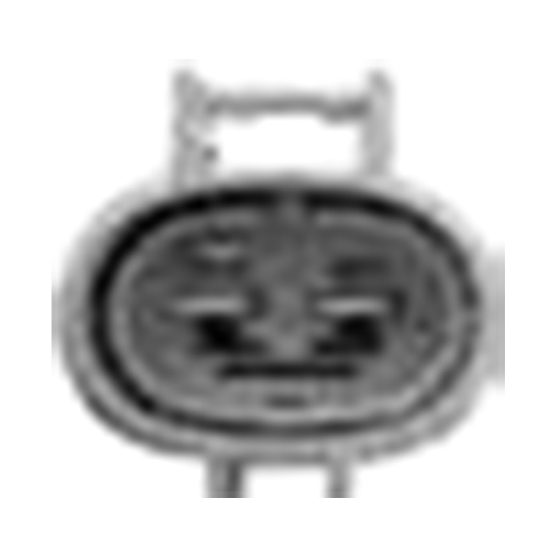 Hangzhou Golden Sun Autoparts Co, Ltd.