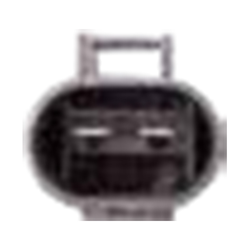 Hangzhou Golden Sun Autoparts Co, Ltd.