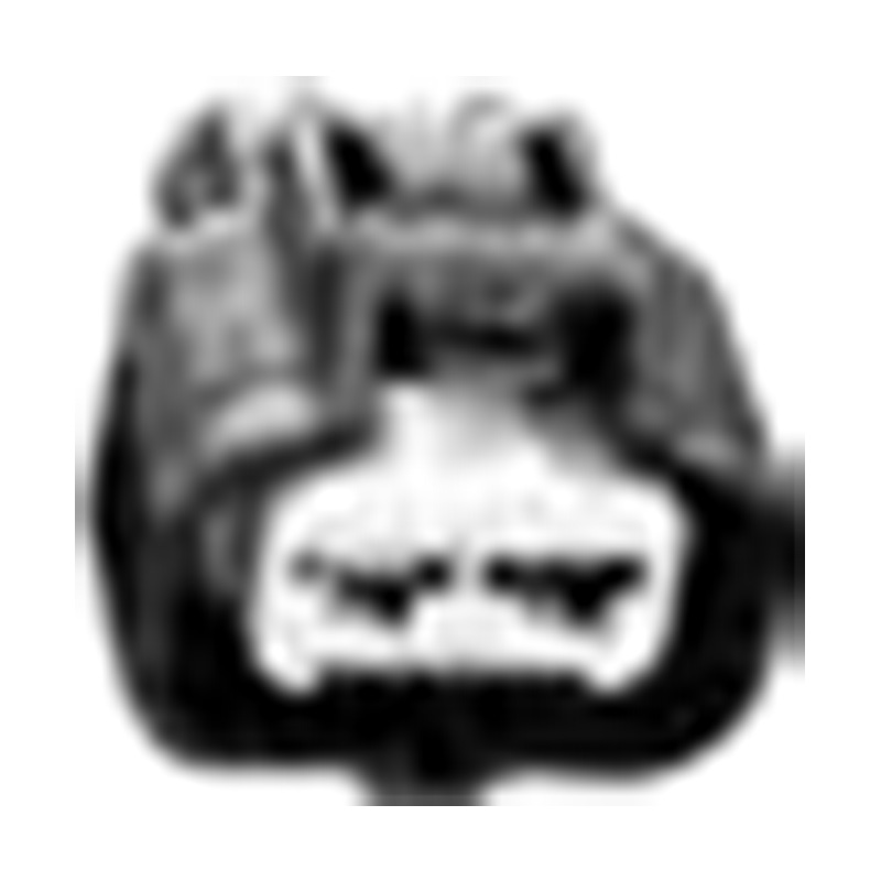 Hangzhou Golden Sun Autoparts Co, Ltd.