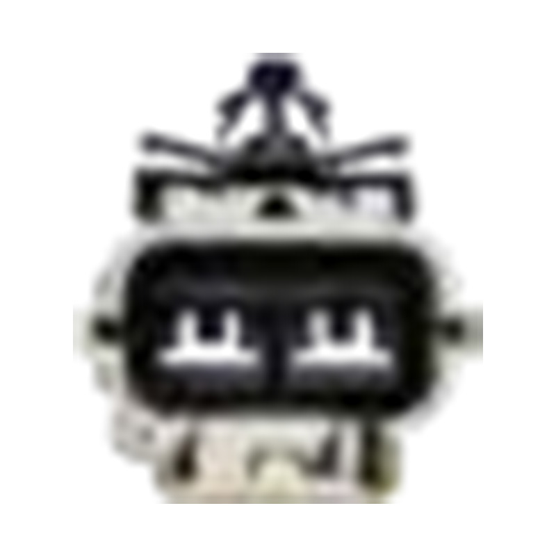 Hangzhou Golden Sun Autoparts Co, Ltd.