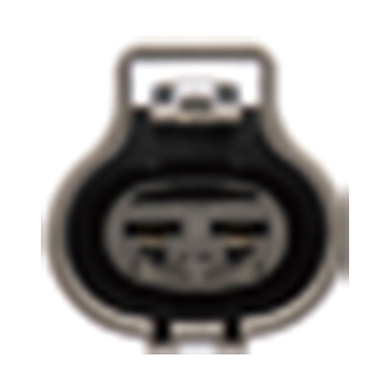 Hangzhou Golden Sun Autoparts Co, Ltd.