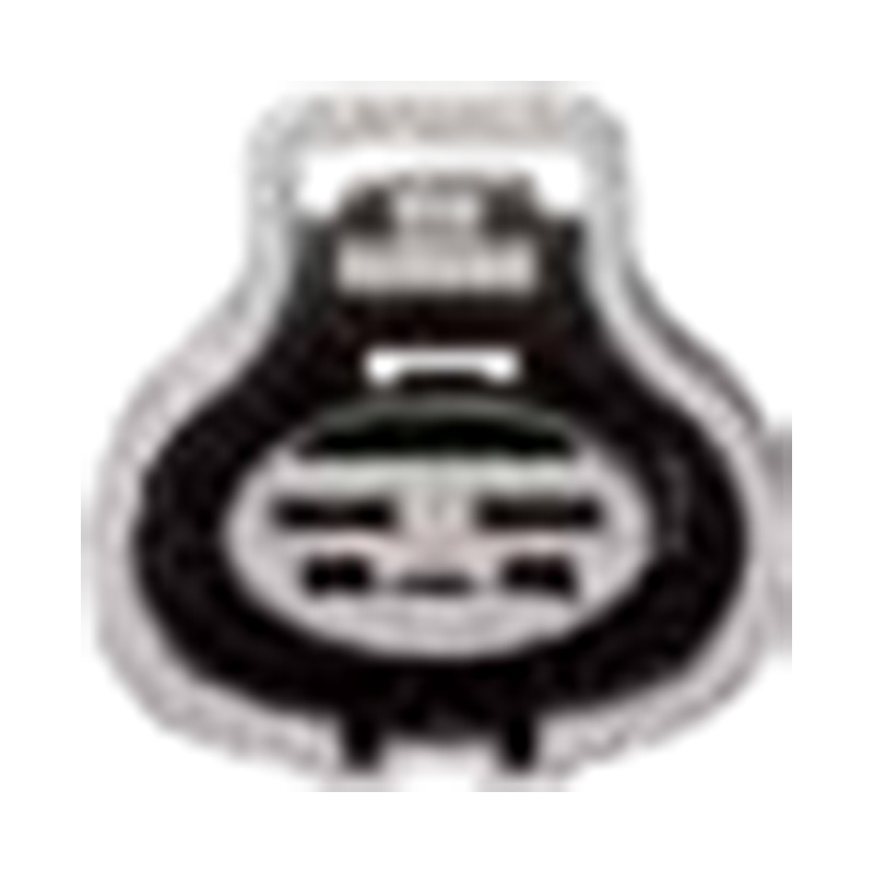 Hangzhou Golden Sun Autoparts Co, Ltd.